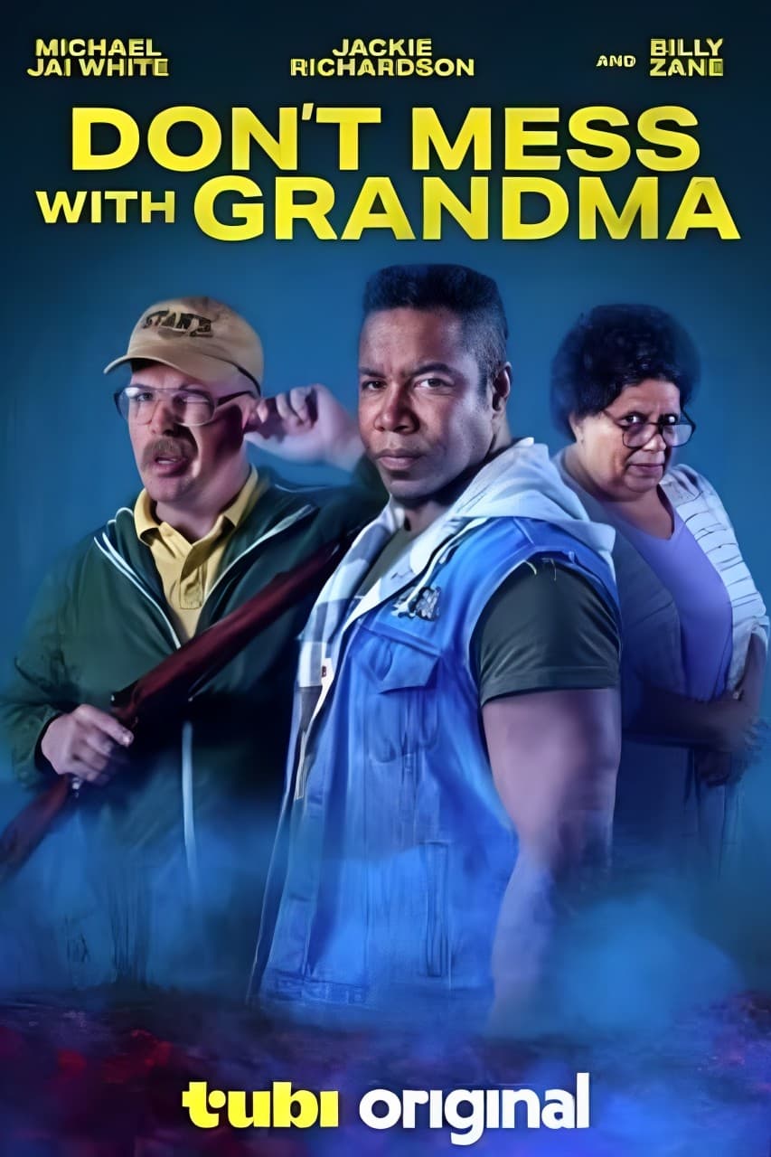 Don't Mess with Grandma (2024) poster - Allmovieland.com